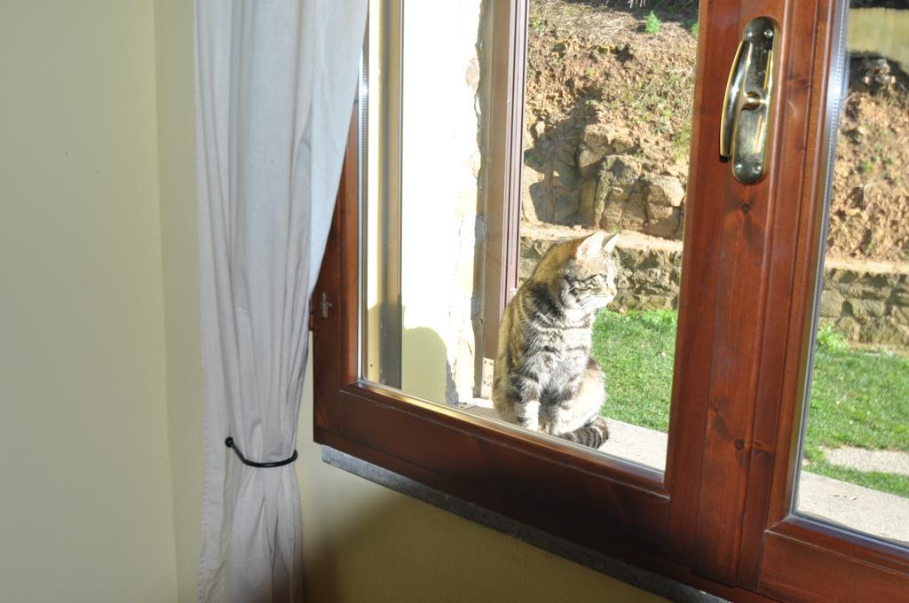 スカルリーノ Agriturismo Il Cerrosugheroヴィラ 部屋 写真