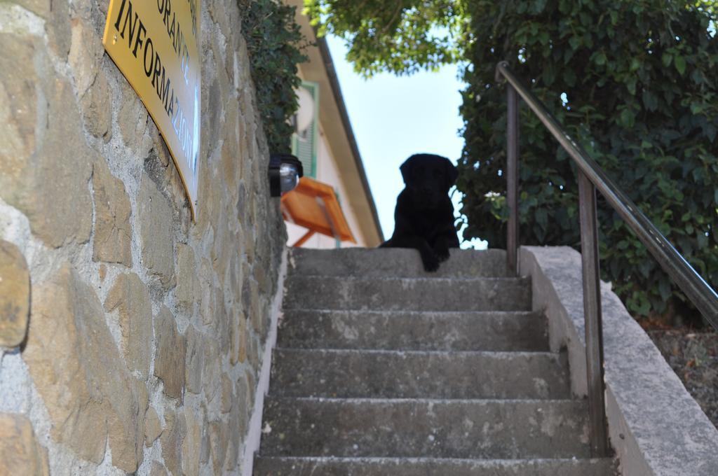 スカルリーノ Agriturismo Il Cerrosugheroヴィラ エクステリア 写真